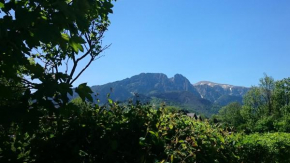 MSC Apartments Honeymoon Zakopane